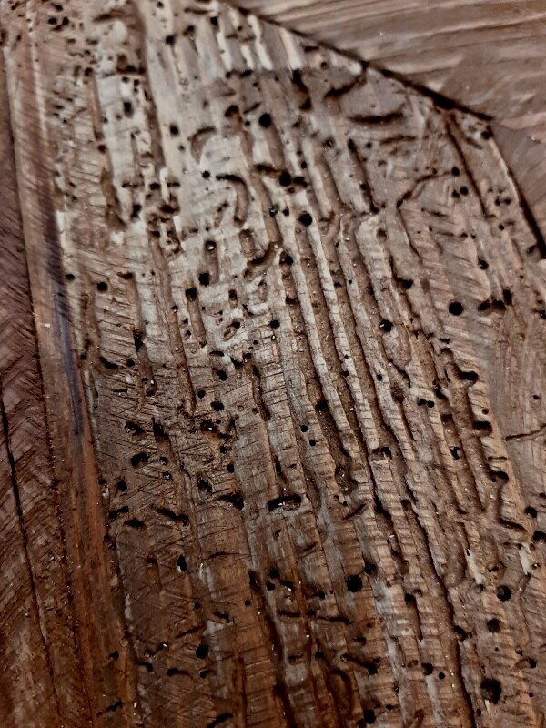 �����Х륳�󥽡���ơ��֥�