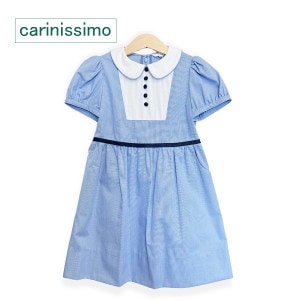 carinissimo ˥å⡡åȥԡ 饤ȥ֥롼å֥б<95ѡ125>AO-1012LB