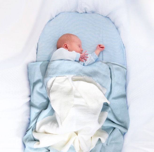 -Rabbit Buranketto- ֥󥱥å 17622076