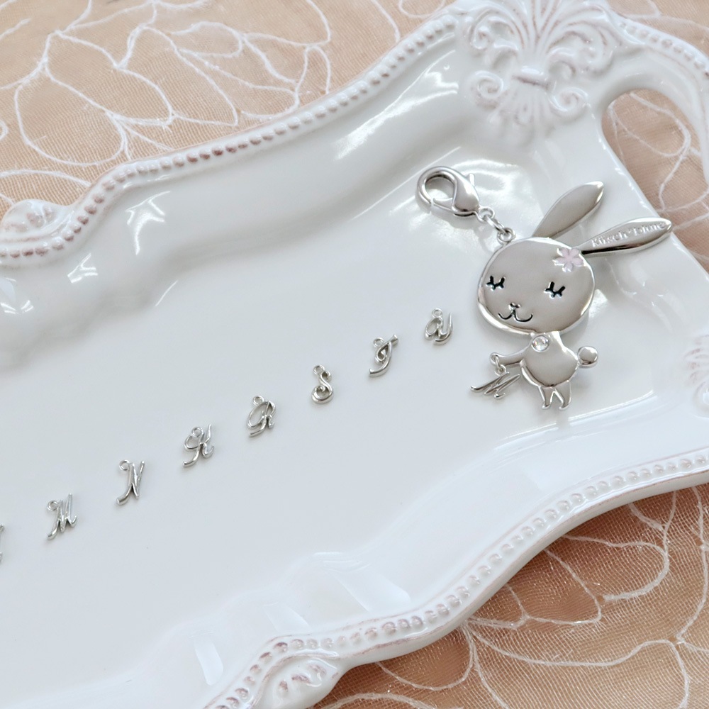 ���륷����ӥå� ���˥������㡼��