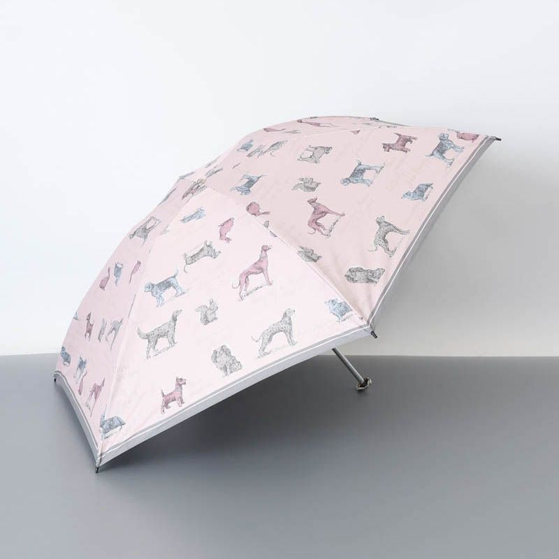 Aquascutum