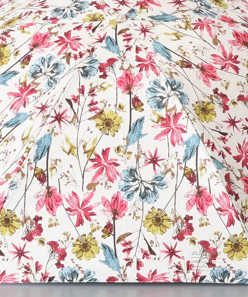 【 JILL STUART（ジル スチュアート）】ボタニカル押し花オールシーズン傘（折りたたみ傘）