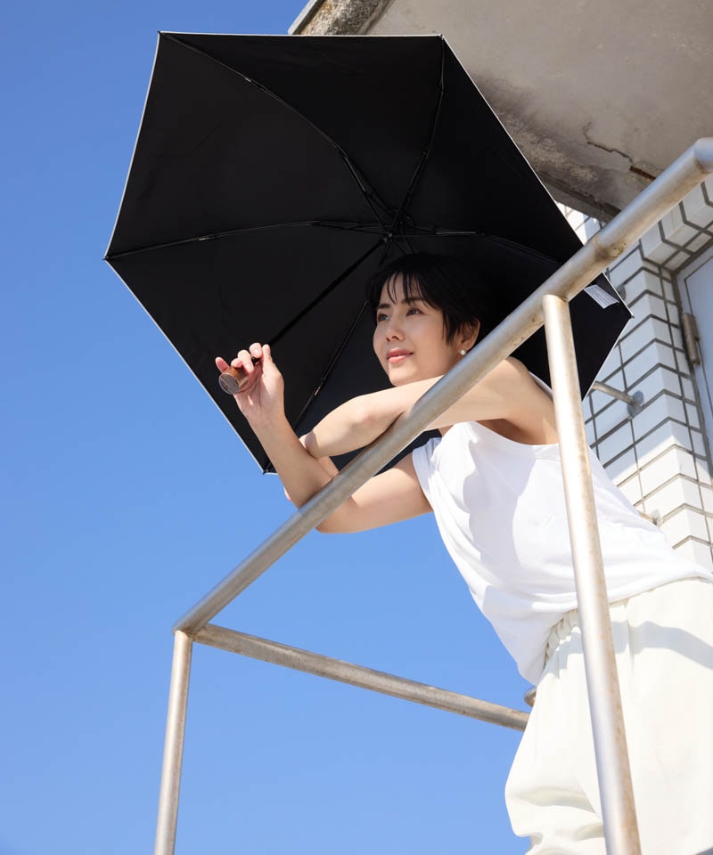 【新品未使用】Blao ブラオ 晴雨兼用傘 折りたたみ傘 遮熱・遮光・軽量 BLAO（ブラオ）】刺しゅう晴雨兼用傘(折りたたみ傘)ALL