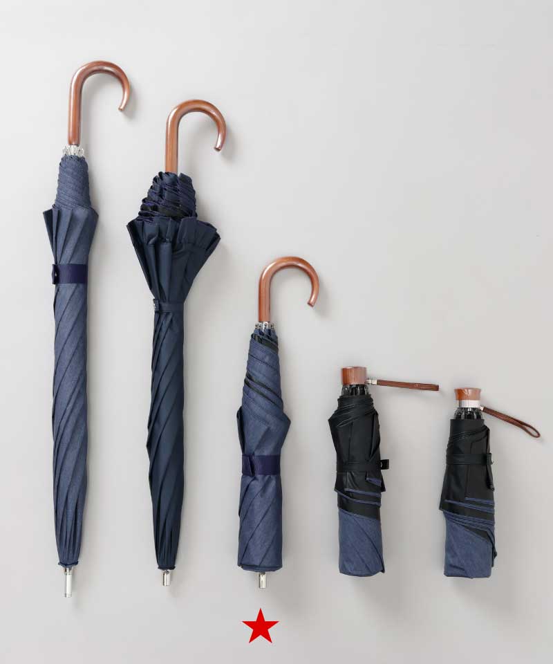 【 Beaurance （ビューランス）】サマーシールド　プリント額縁柄晴雨兼用傘（折りたたみ）