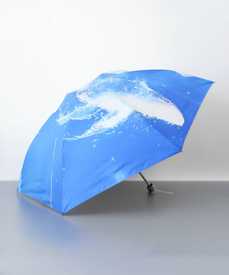 【 クリエイターズ コラボ 】 まころん＆空に青。（晴雨兼用傘） 受注生産品