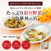 たっぷり彩り野菜の中華丼の具　塩味・醤油味