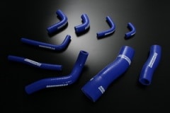 ���ꥳ��饸�������ҡ������ۡ��� ���� �ѥ륵�� RNN14 GTiR ��