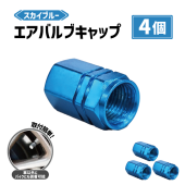 �����Х�� ����å� �������֥롼 4�� ���å� ����� �� �Х��� ������Х�� ������ �ɥ쥹���å� ���� ������ �ۥ����� ���� ��� ����