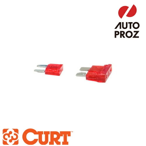 CURT 正規品 ユニバーサルヒューズ 10AMP 100パック