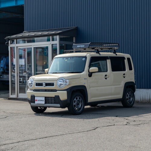 ルーフラック ルーフバスケット スキニーウォーリアー 58cm x 147cm x