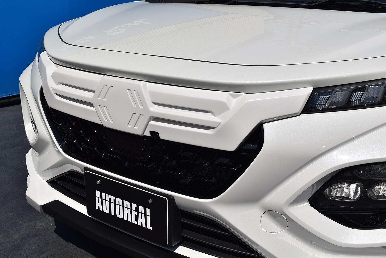 �ڥ��������ե��󥯥���FRONX���ѡۥե���ȥ���륬���˥å���