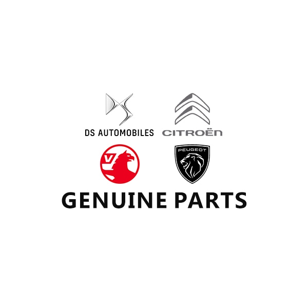 プジョー 純正 (MUL) ブラインドナット 106 1007 205 206 207 306 307 シリンダーヘッドナット 25062|PEUGEOT|IMPORT BRAND