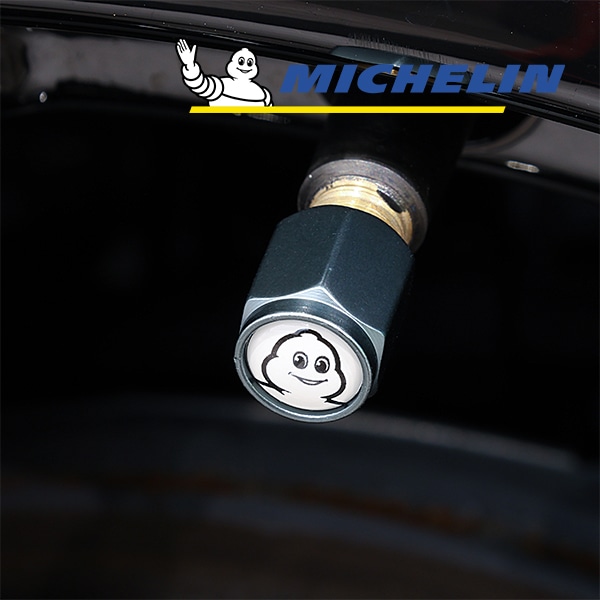 【MICHELIN 正規品】 エアバルブキャップ 4個セット メルセデスベンツ Aクラス Bクラス Cクラス Eクラス Sクラス GLA GLB GLC GLE Gクラス