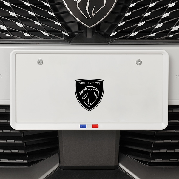 フランス国旗 ナンバープレートフレーム ナンバーフレーム マットホワイト プジョー 308 3008 5008 208 RCZ 508 トリコロール 前後セット 新基準対応　|PEUGEOT|IMPO