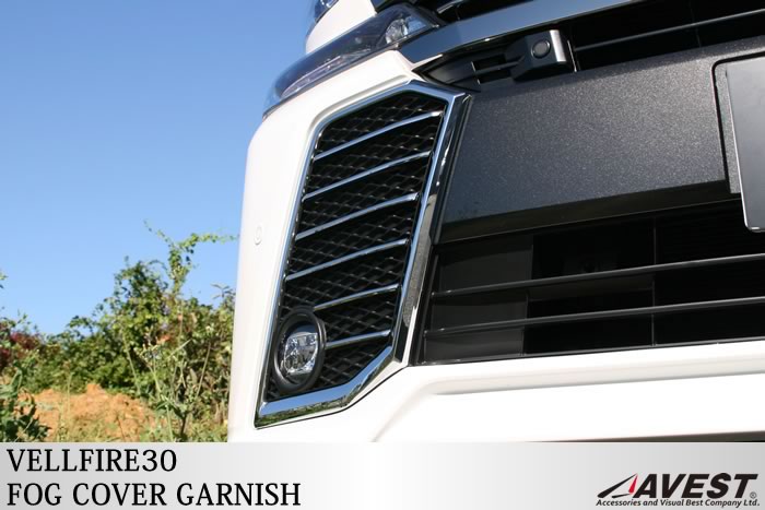 ������ե����� vellfire 30�� ���ƥ�쥹 �ե���ȥե������С������˥å���