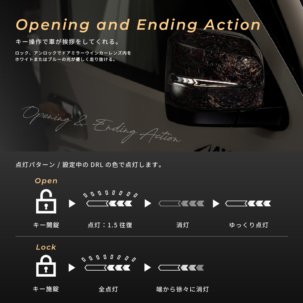 Forged Carbon Fiber Phantom Redή륦󥫡 ϥ 200 󥷥뵡ǽ ήɥߥ顼󥫡