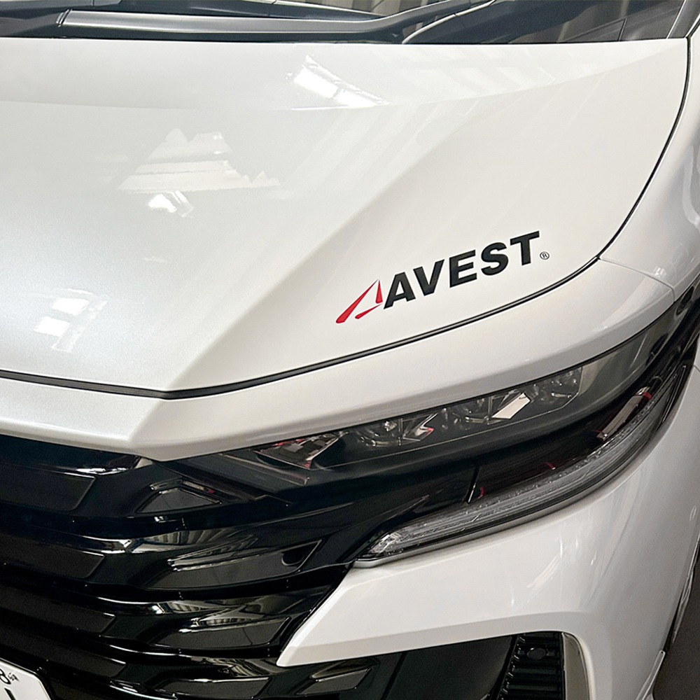 AVEST ���� ���åƥ��� ���ƥå��� Ver.2 �� �� ��22cm