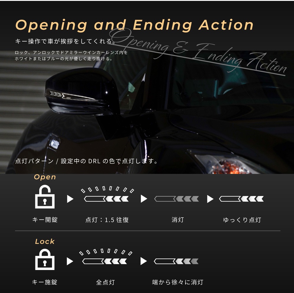 [Vertical Arrow Type��]GT-R R35 ή��� �ɥ��ߥ顼 ���&���С� AVEST NISSAN