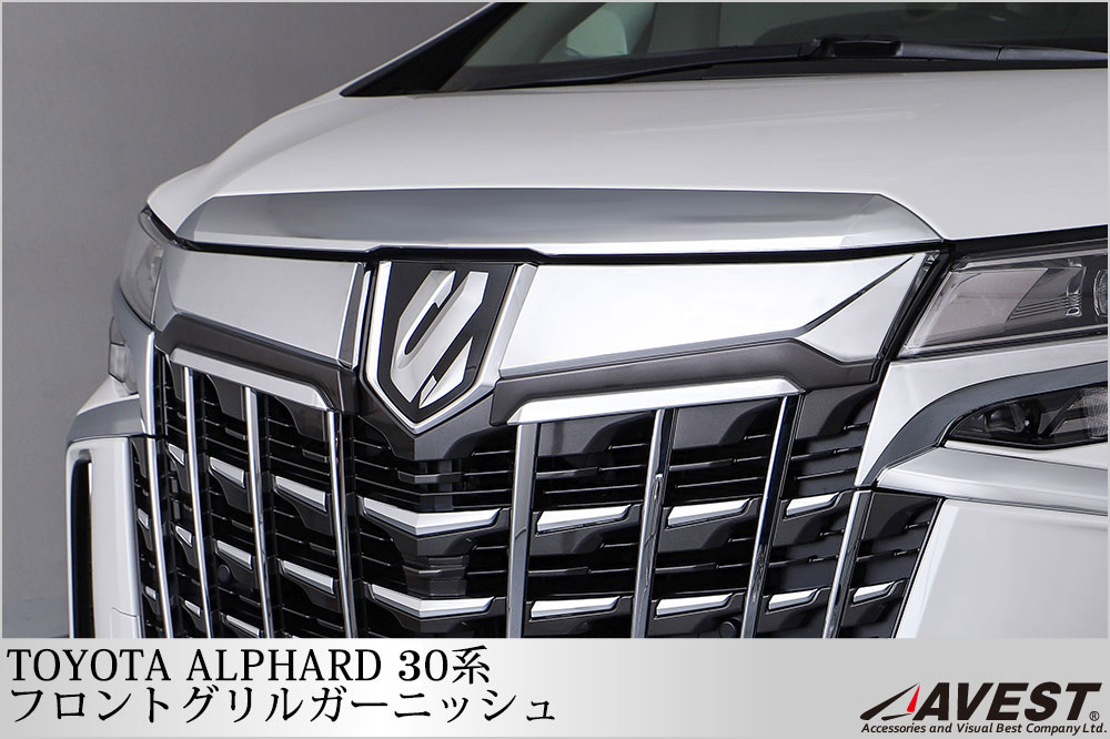 ����ե����� 30�� ��� �ե���ȥ���륬���˥å��� 2P���å�