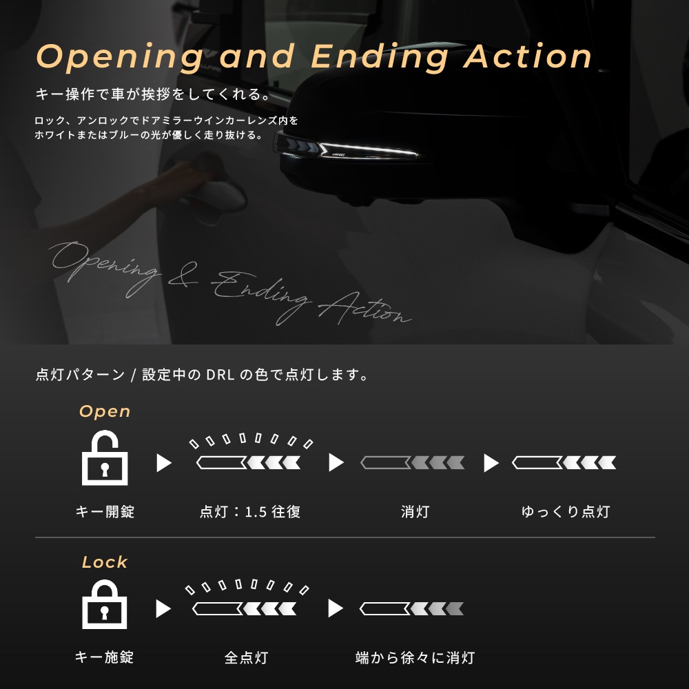 Forged Carbon Fiber Phantom Redή륦󥫡 ե ե 40 󥷥뵡ǽήɥߥ顼󥫡 Vertical Arrow Type