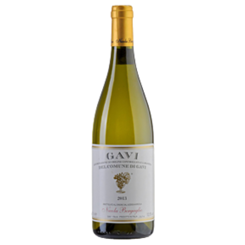 ������ �ǥ� ���ࡼ�ͥǥ� ������ 2024 / DOCG Gavi del Comune di Gavi / Nicola Bergaglio �ڥԥ����ơ����