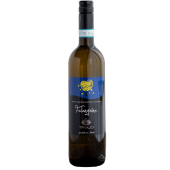 ファランギーナ 2023 / DOP Sannio / Sannio 【カンパニア・白】