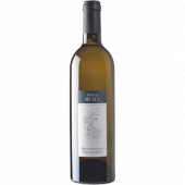 ե󥮡 "ݥå 쥢" 2017 / IGT Beneventano / Guido Marsellaڥѡ˥