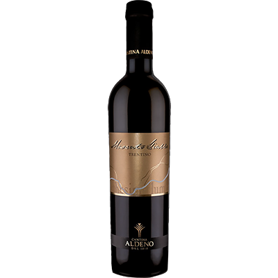 �⥹������ ����å� 2013 / DOC Trentino / Aldeno (500ml) �ڥȥ��ƥ����Ρᥢ��ȡ����ǥ��������Ÿ���