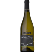 ߥ顼ȥ륬 2023 / DOC Trentino / Aldeno ڥȥƥΡᥢȡǥ