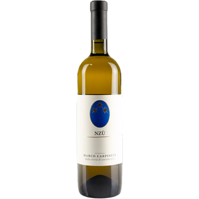 "�̥�" �ӥ��� 2021 / IGT Lazio / Marco Carpineti���ڥ�ĥ��������