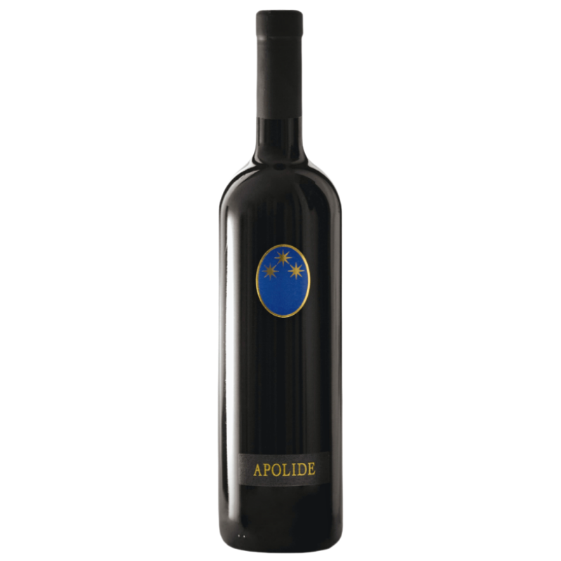 "���ݥ꡼��" ���å� 2017 / IGT Lazio Rosso / Marco Carpinetti���ڥ�ĥ������֡�