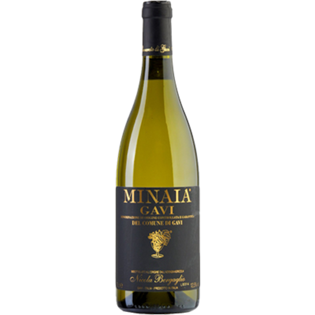 ������ �ߥʥ��� 2023 / DOCG Gavi del Comune di Gavi / Nicola Bergaglio�ڥԥ����ơ����