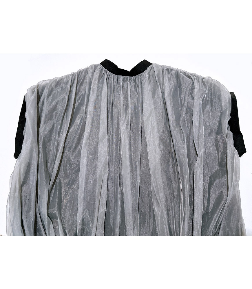 シースルーフレンチブラウス