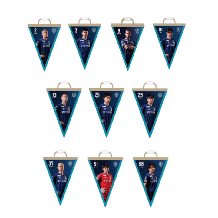 ガーランド24【全選手対応】