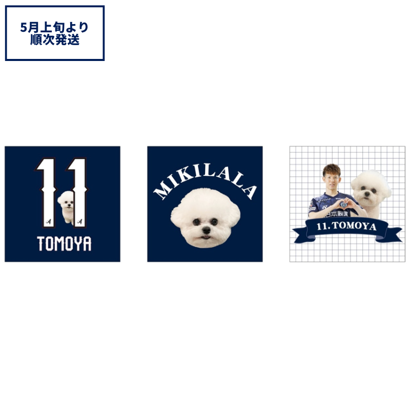 トモヤ＆ララ ステッカー3枚セット【受注商品】