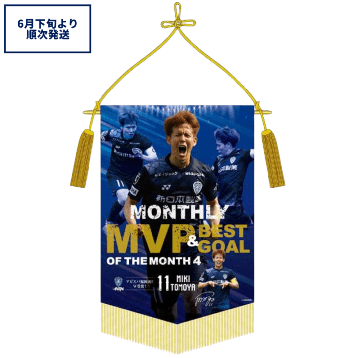 アビスパ福岡公式グッズ｜ユニフォーム・応援グッズ通販【AVISPA