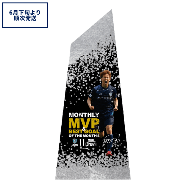 アビスパ福岡公式グッズ｜ユニフォーム・応援グッズ通販【AVISPA
