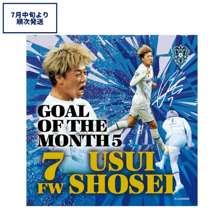 アビスパ福岡公式グッズ｜ユニフォーム・応援グッズ通販【AVISPA