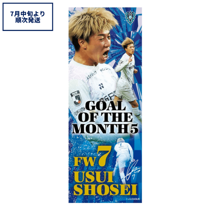 アビスパ福岡公式グッズ｜ユニフォーム・応援グッズ通販【AVISPA
