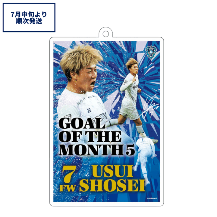 アビスパ福岡公式グッズ｜ユニフォーム・応援グッズ通販【AVISPA