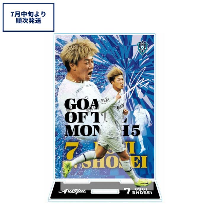 アビスパ福岡公式グッズ｜ユニフォーム・応援グッズ通販【AVISPA