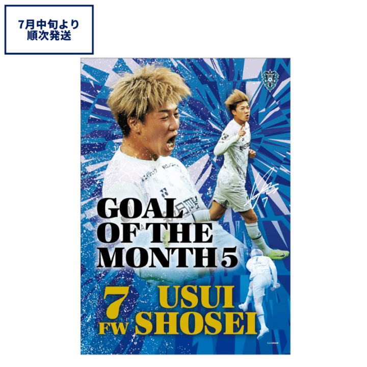 アビスパ福岡公式グッズ｜ユニフォーム・応援グッズ通販【AVISPA