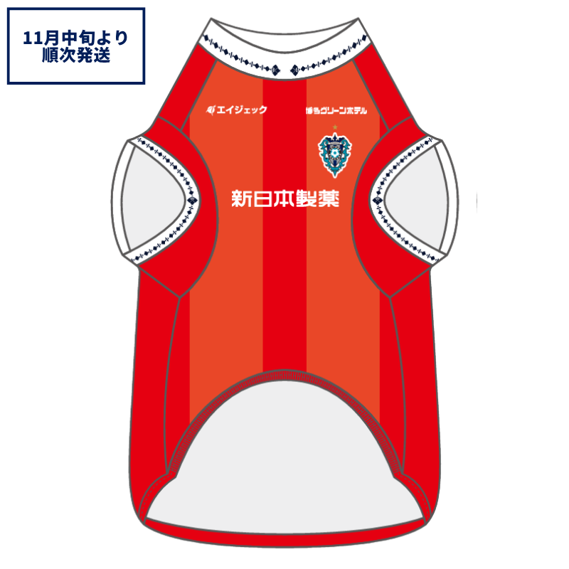 アビスパ福岡公式グッズ｜ユニフォーム・応援グッズ通販【AVISPA