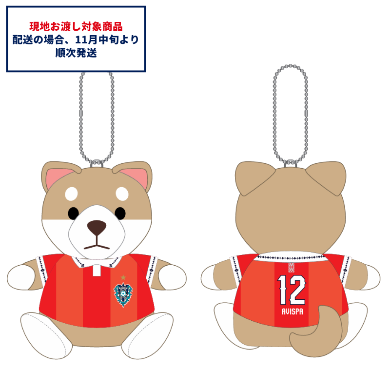 アビスパ福岡公式グッズ｜ユニフォーム・応援グッズ通販【AVISPA