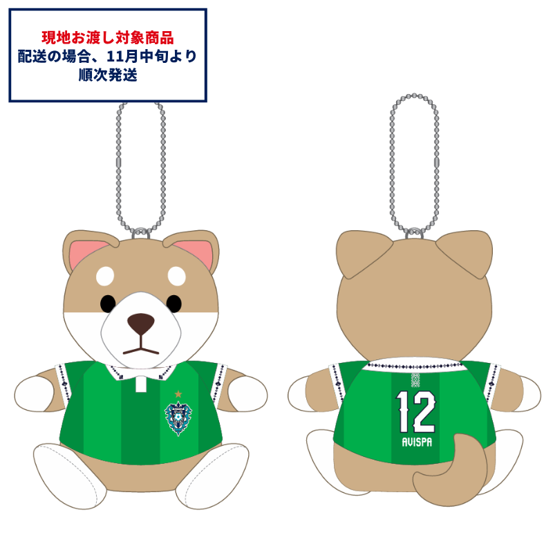 アビスパ福岡公式グッズ｜ユニフォーム・応援グッズ通販【AVISPA