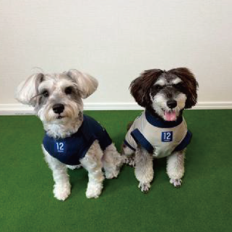 ドッグウエア(ネイビー)