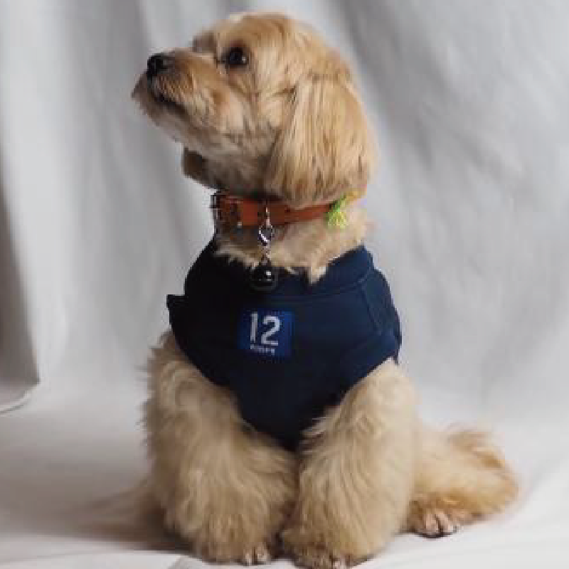 ドッグウエア(ネイビー)