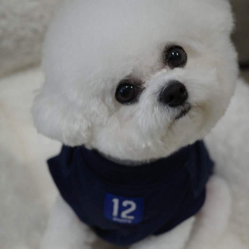 ドッグウエア(ネイビー)