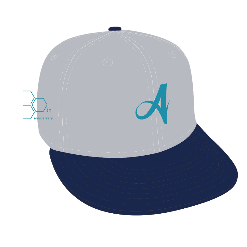 30周年NEWERAキャップ　グレー