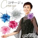¨Ǽ����2895/3765�ۡڥ��������꡼�ۥ��������� KS-GD079-KS-GD083